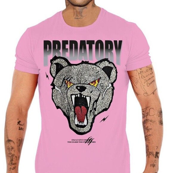 Pink Short Sleeve Tee with Fierce GV Bear Graphic and Bold Text size 3XL - Picture 1 of 6